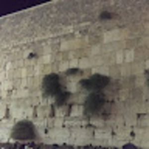 Meet your Posher, Rashel